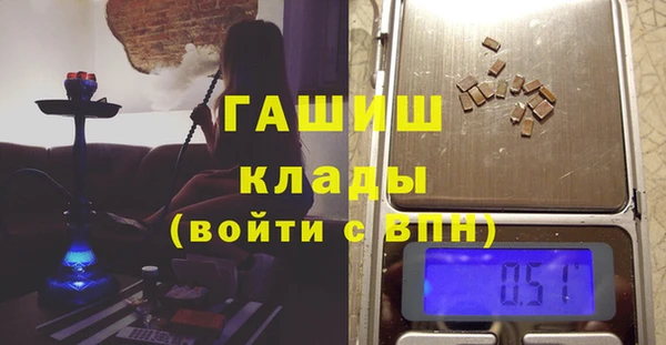 индика Бородино