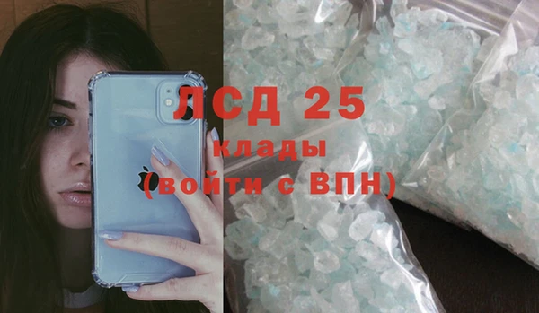 индика Бородино