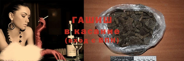 индика Бородино