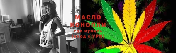 индика Бородино