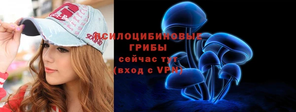 индика Бородино