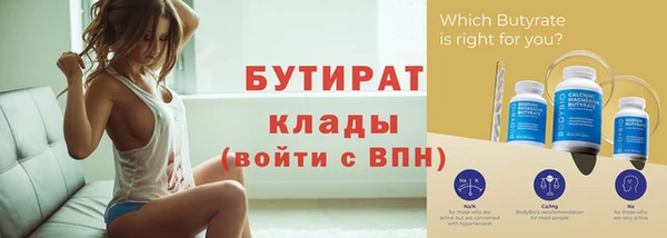 индика Бородино