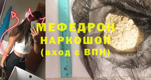 индика Бородино