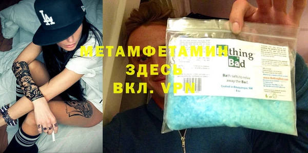 индика Бородино