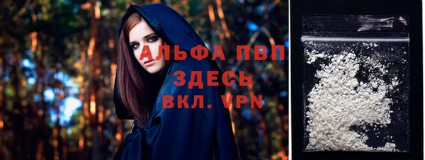 индика Бородино