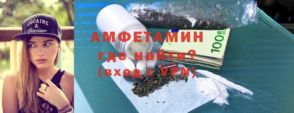 индика Бородино